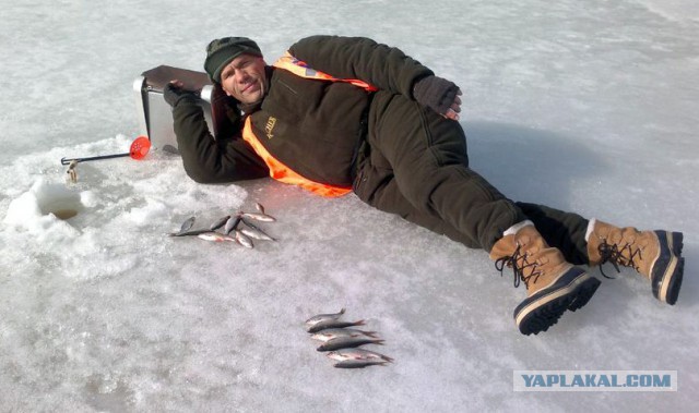Виды рыбаков.