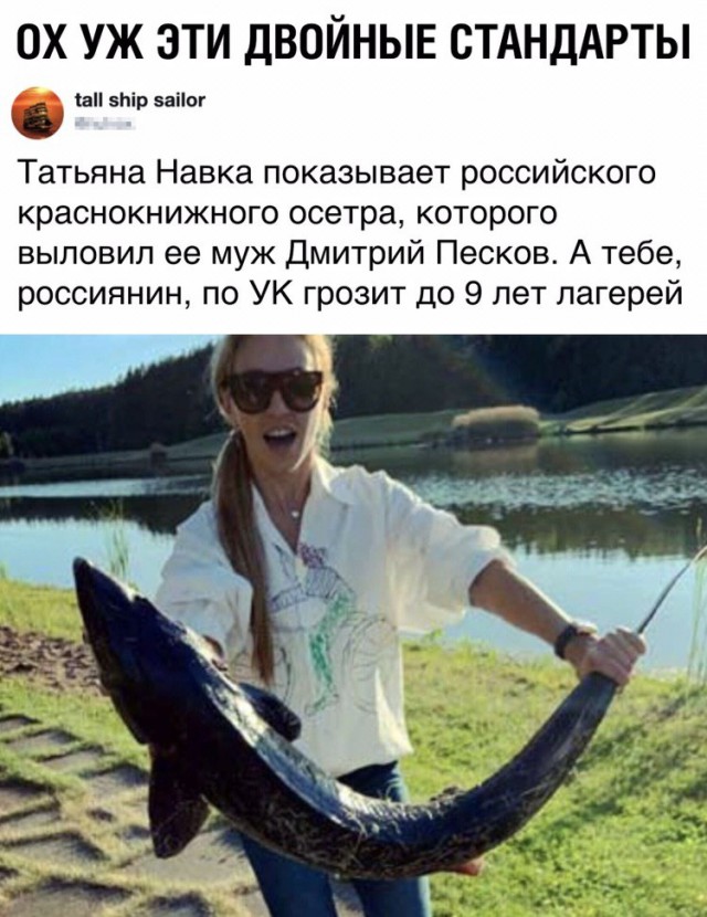 Картинки с надписями и анекдоты