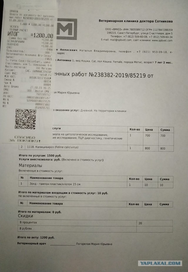 Помогите вернуть кота! Приют "Преданное сердце" украл кота и не отдает!