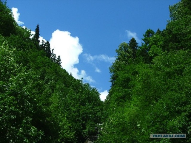 Абхазия (49 фото)