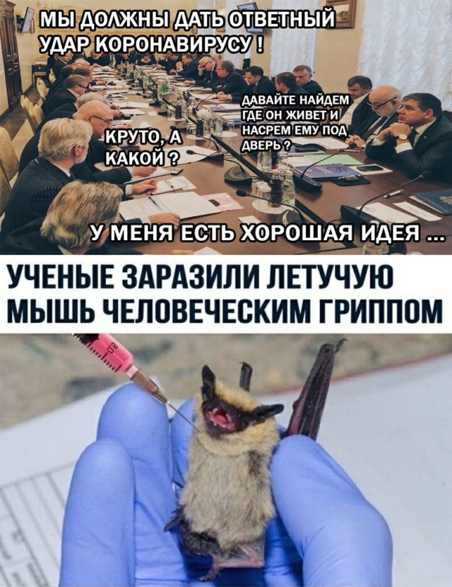 Отмечаем 1 мая! Ура, товарищи!