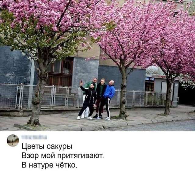 Чуток картинок 17.05.20