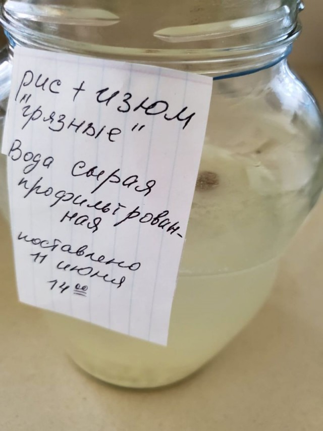 Рисовый квас.