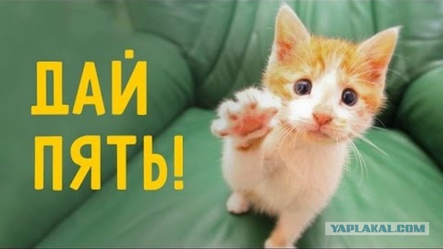 У меня сегодня ДР! 55 лет!