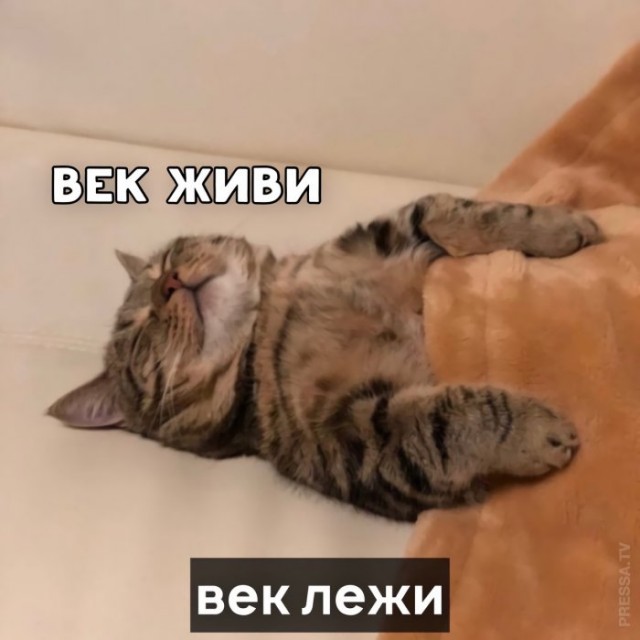 Картинки и мемы для настроения 008
