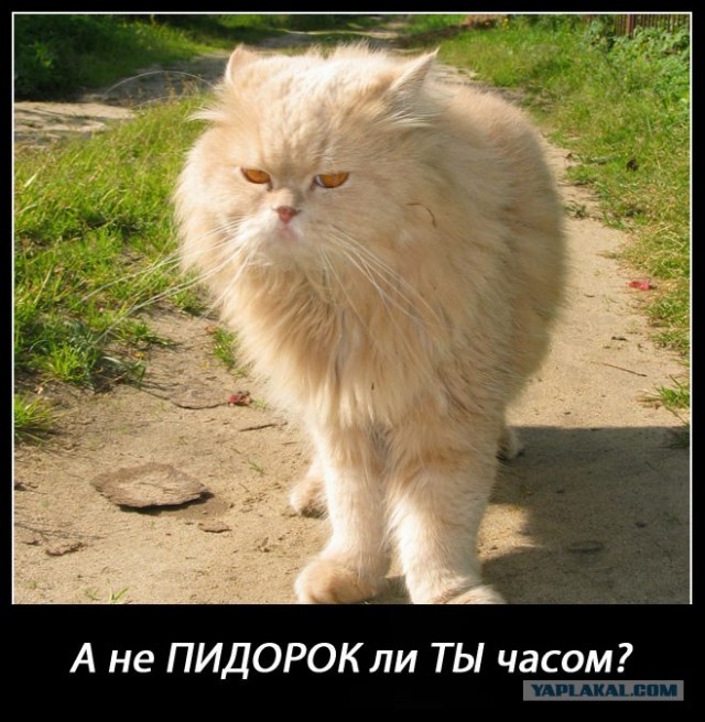 Это Его Район!