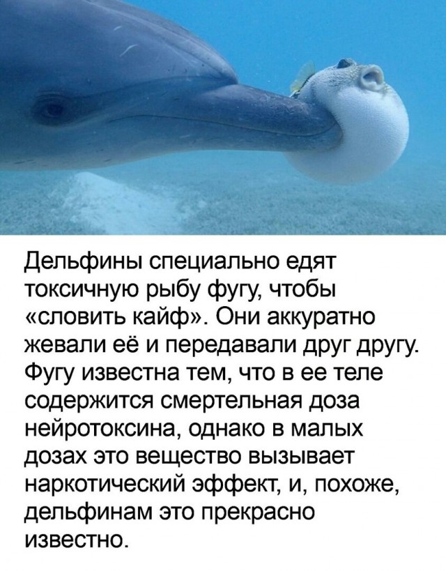 Так себе картинки 24.02.21
