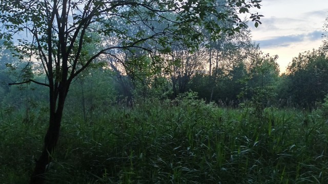 Последняя картинка в вашей Галерее/Загрузках