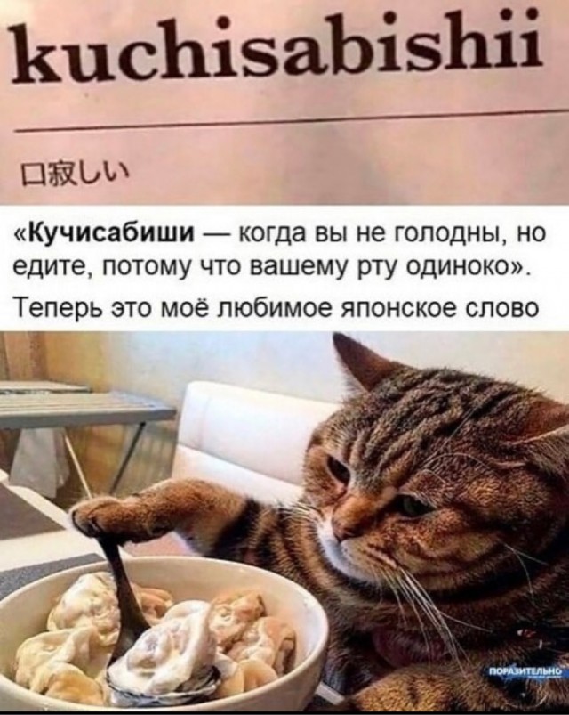 Так себе картинки 01.07.21