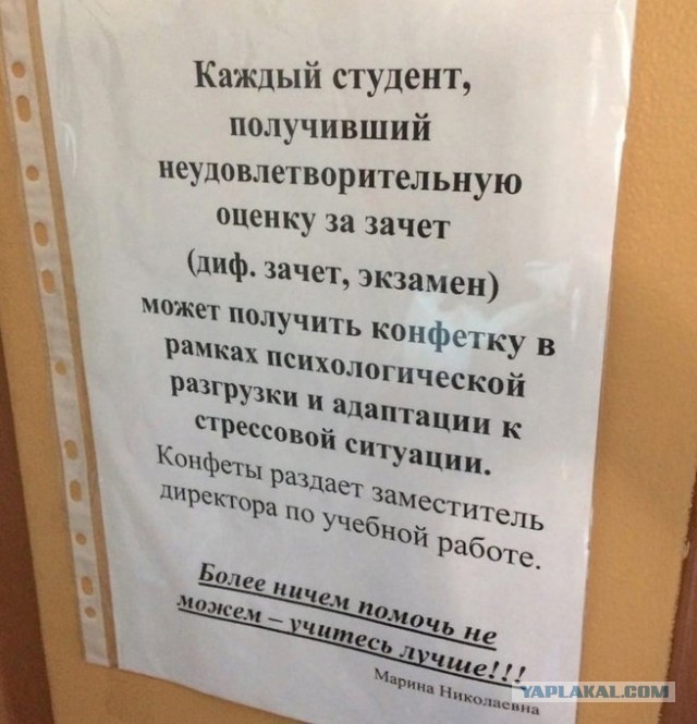 Весёлый полтишок 14.07