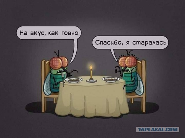 Аморальная деградация