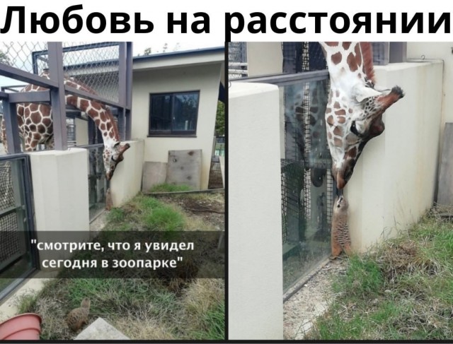 Так себе картинки 13.12.21