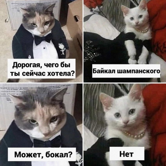 Картинки и мемы для настроения - 22