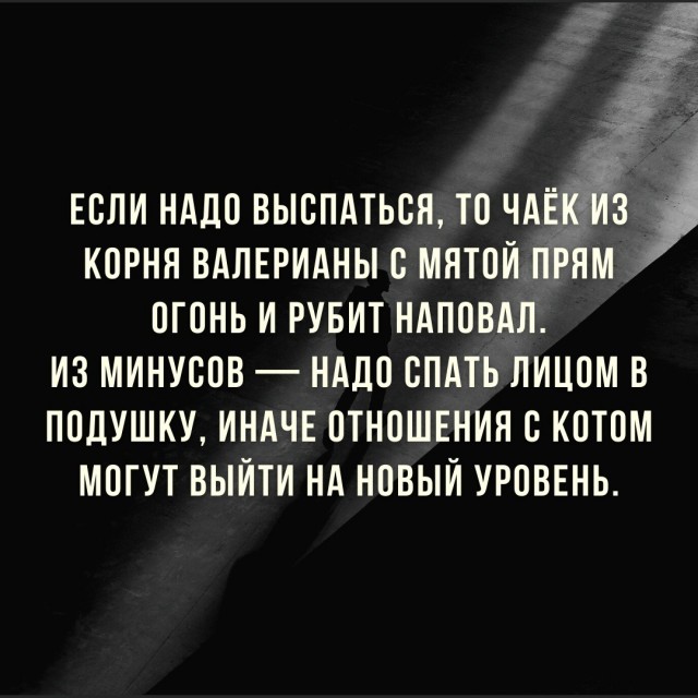 Так себе картинки 24.02.22
