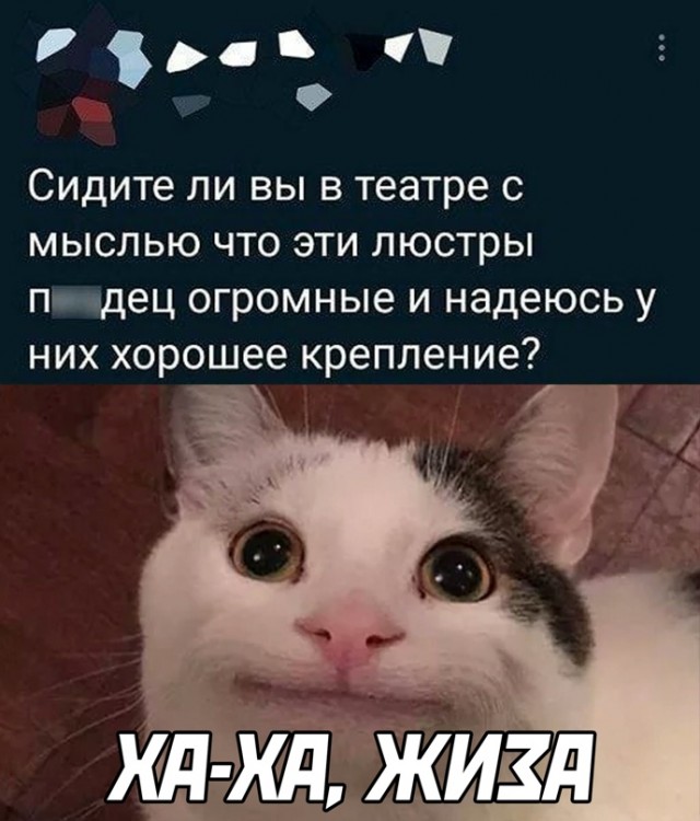 Картинки и мемы для настроения 31.03.2022