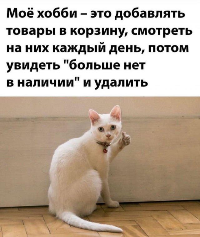 Так себе картинки 21.04.22