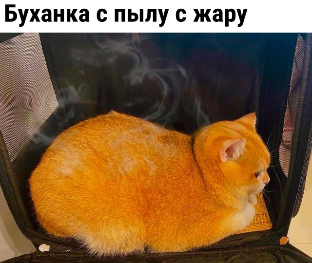Так себе картинки 29.05.22