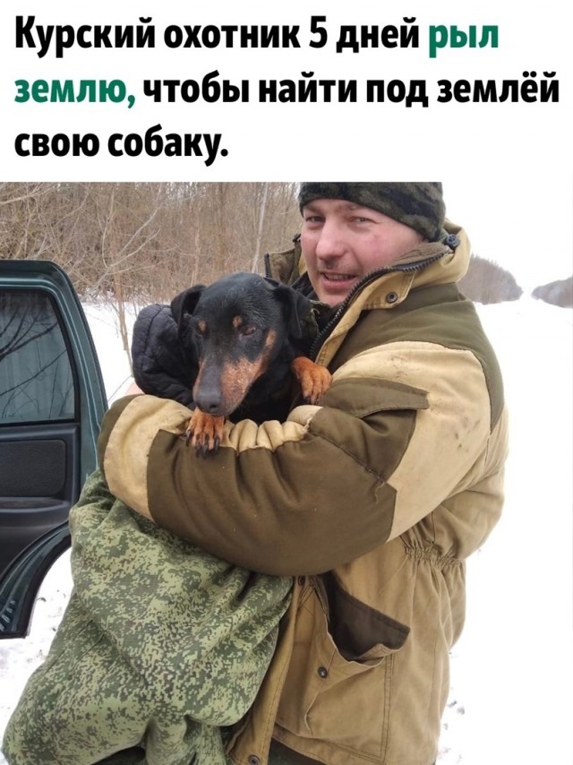 Так себе картинки 25.06.22