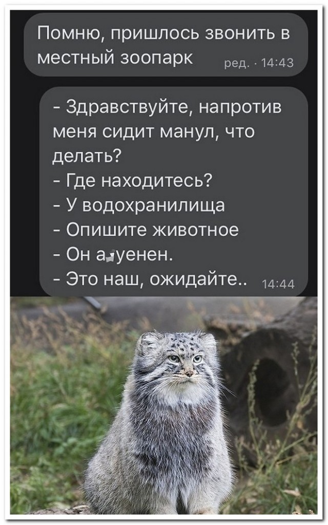 Забавные комментарии из социальных сетей (29.08.22)