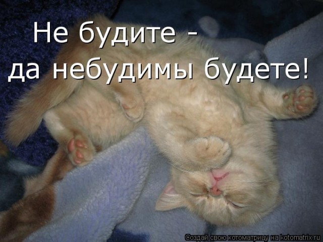 Пандемия съехавших крыш - разновидности болезни. Россия и мир. Часть 41.