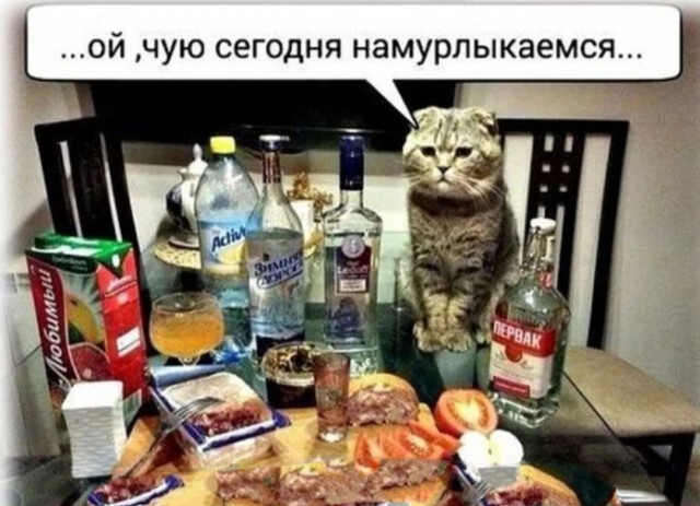 Алкопост 12.11.22