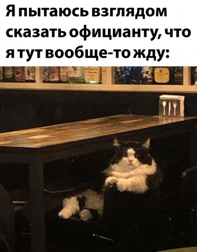 Немного картинок для настроения - 137