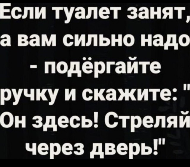 Весёлый полтишок 12.03.23