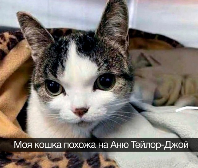 Нуштош 14.03.23