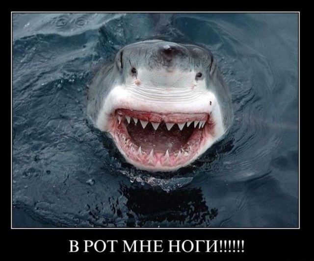Народная меДИЧина 3018