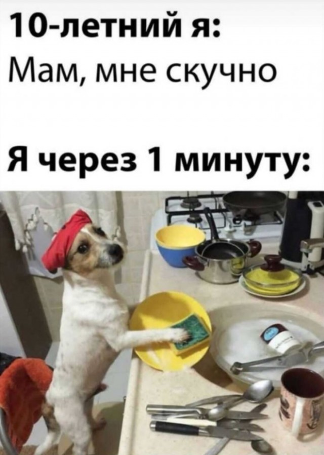 Картинки и мемы, всяко разно - 175