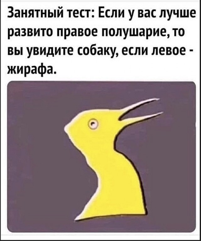 Так себе картинки 01.08.23