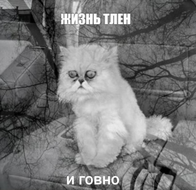 Примерно 15 млн россиян находятся в состоянии глубокой депрессии