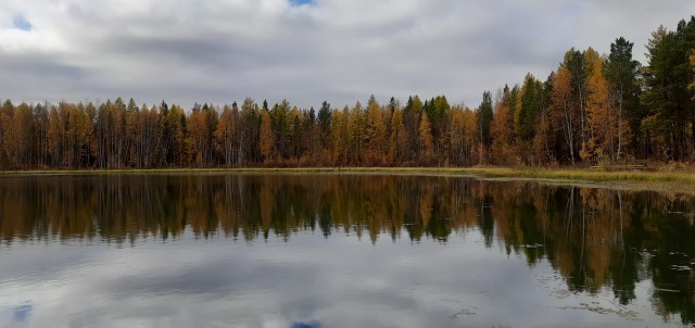 Краски осени