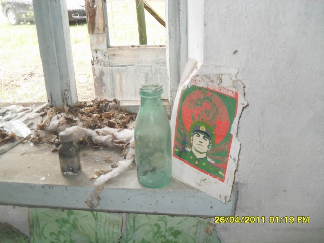 Чернобыль 2011