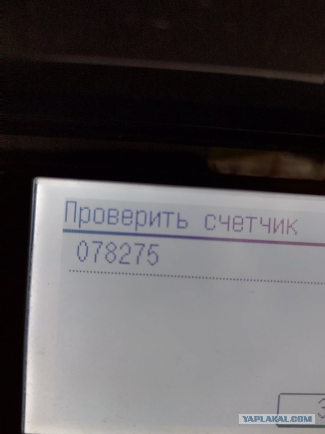 Самая последняя в галерее