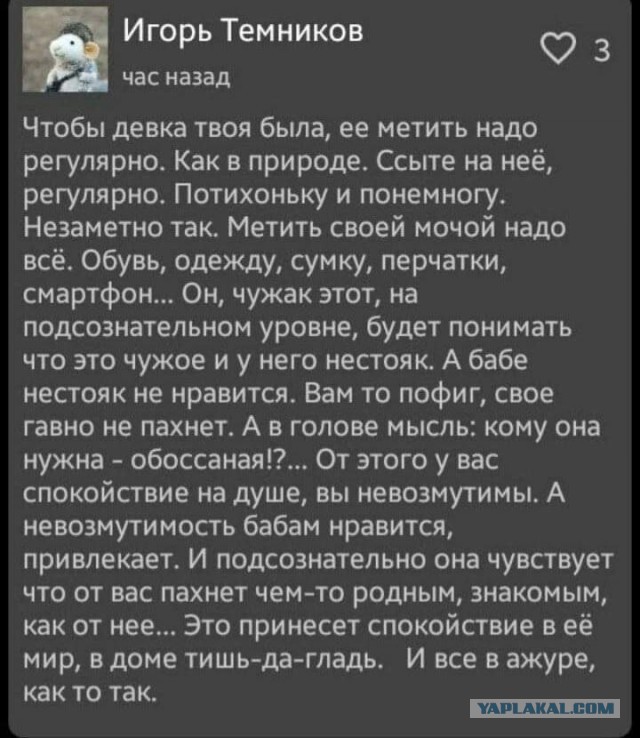40 пятничных картинок 29.12.2023