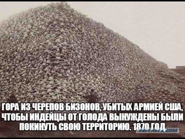 Мужчины Северной Кореи и Южной Кореи
