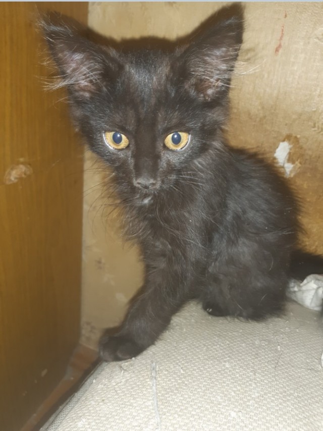 Сборник рассказов ЯПовских авторов. Обсуждение проблемы.