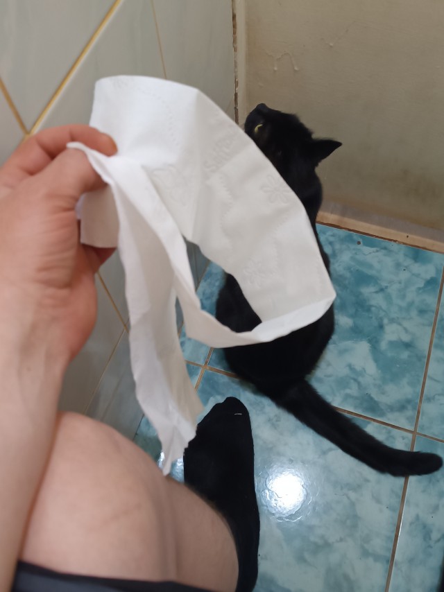 Сколько кусков отрываете туалетной бумаги?