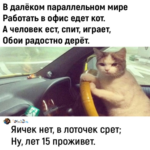 Завалялось тут случайно немного забавных картинок