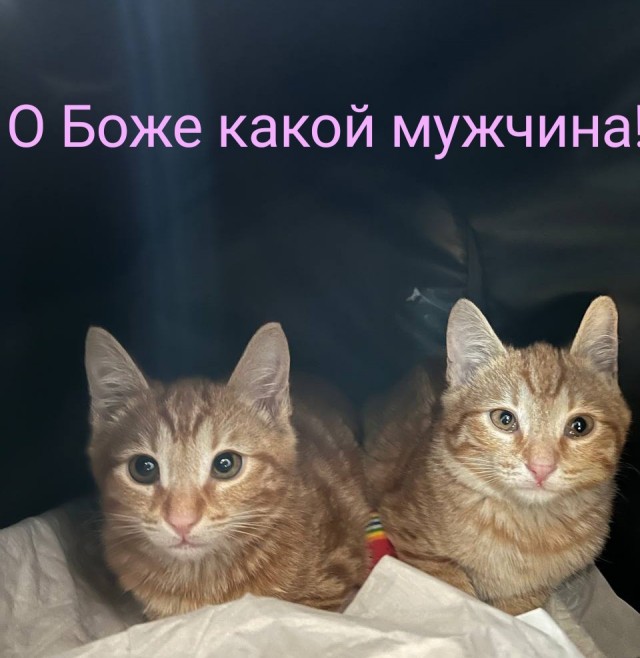 Погуляли с деревенскими....