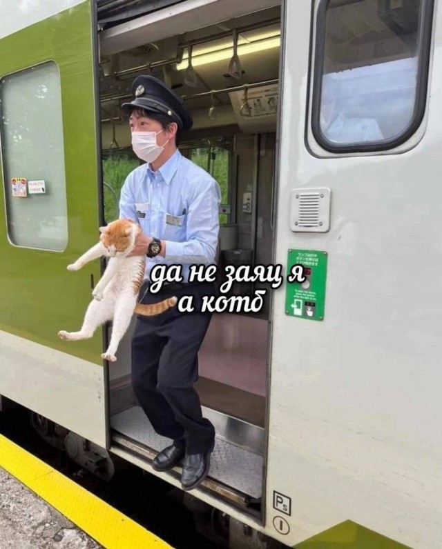 Завалялось тут случайно немного забавных картинок