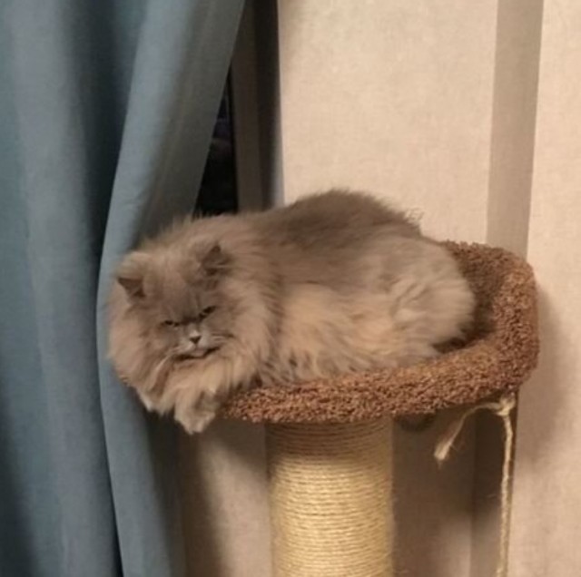 Ну вот я дважды раб