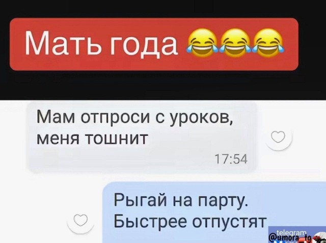 Немного забавных картинок от 22.12.24