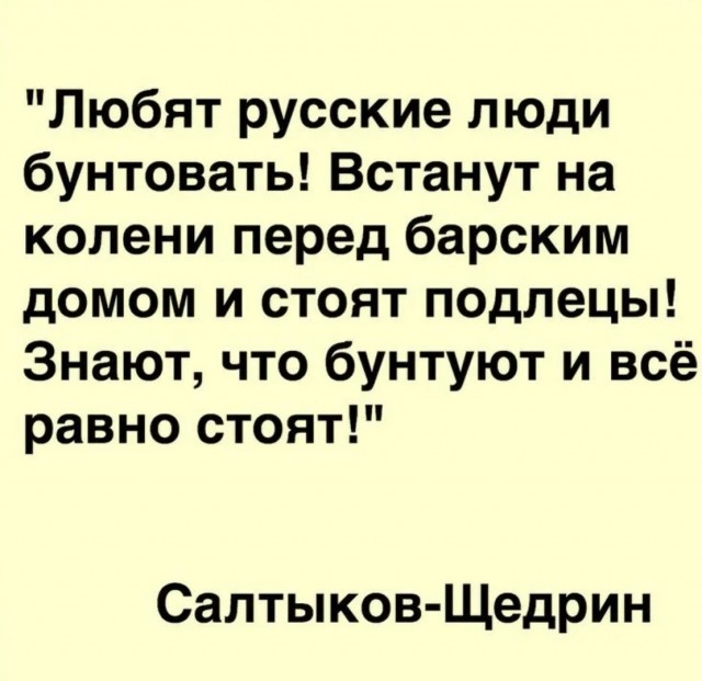 Забытые Богом и властью: 19 деревень Архангельской области в отчаянии записали обращение к Путину