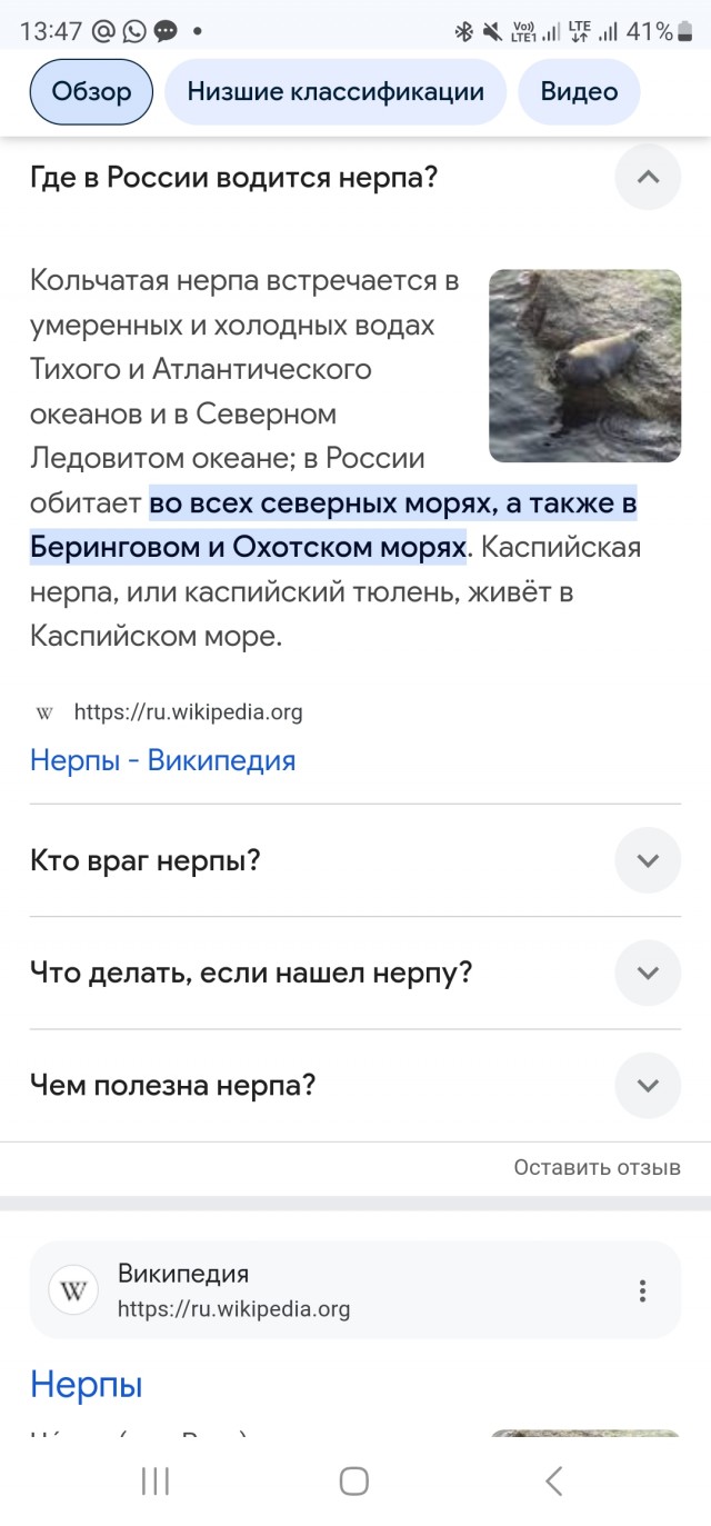 Нерпа (почти курва!)))