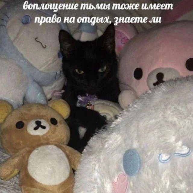 Картинки от 16 февраля