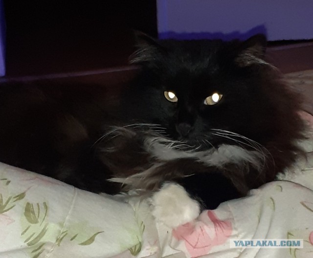 Ты что, не рад меня видеть?