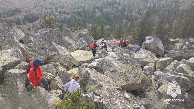 Башкортостан: Медведь загнал людей на гору в Белорецком районе