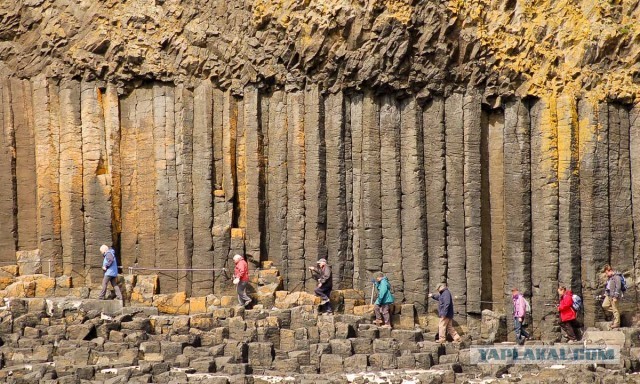 Окутанные тайной